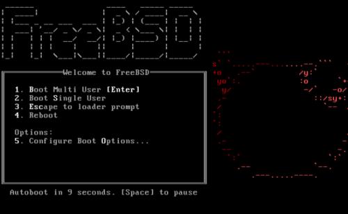 FreeBSD